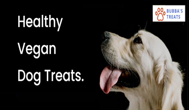 Healthy Vegan Dog Treats text a pic of a white dog