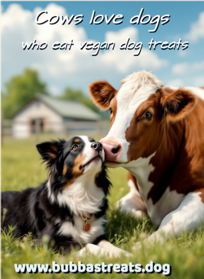 Cows Love Dogs