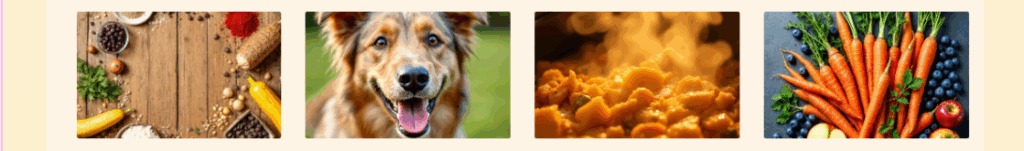 Healthy and Organic Banner